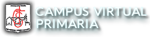 Campus Nivel Primario Santa Teresita